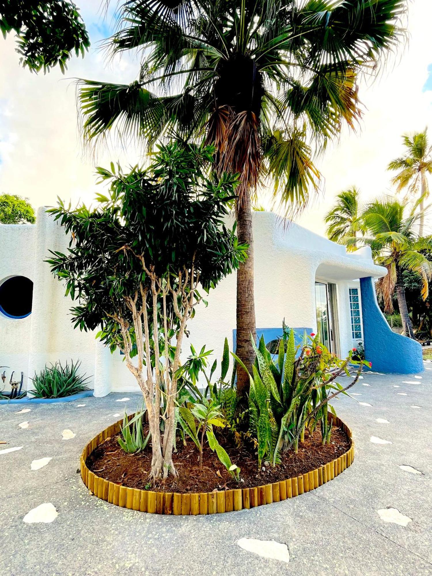 La Kaz Caleepso Villa La Possession Exterior foto